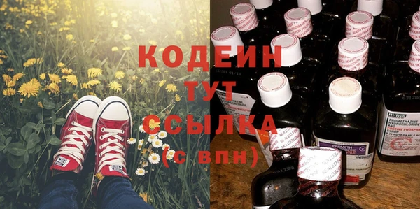 трава Кодинск