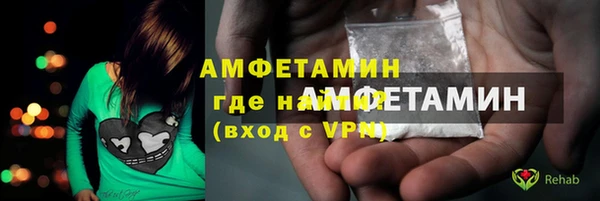 крисы Алексин