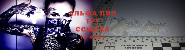 крисы Алексин