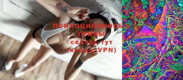 крисы Алексин