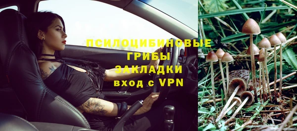 крисы Алексин
