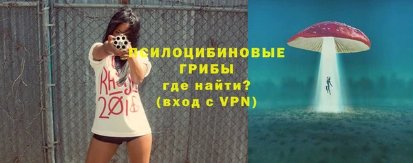 дурь Алексеевка