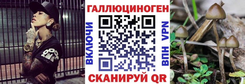 Псилоцибиновые грибы мицелий  закладки  Алексеевка 