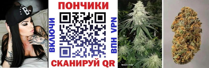 Канабис индика  Алексеевка 
